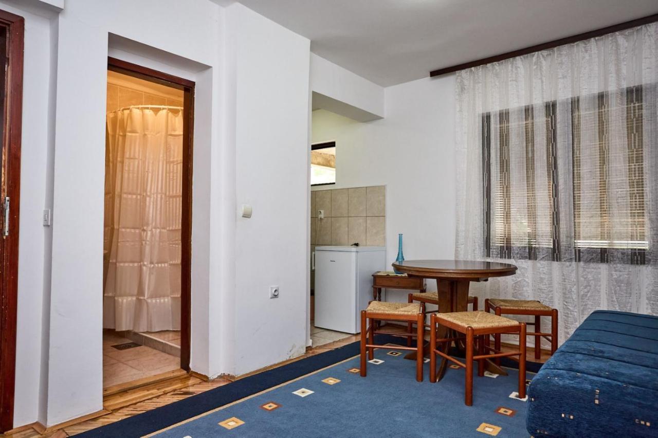 Apartmani Dr. Gasa Сокобаня Екстер'єр фото